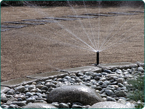 A Hunter MP Rotator f�v�ka a kertben